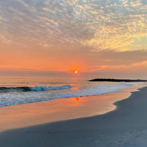 Meet your Posher, Lorrie